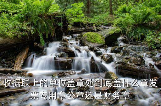 收據(jù)上面蓋什么章，收款收據(jù)上蓋什么章是財務(wù)章還是公章