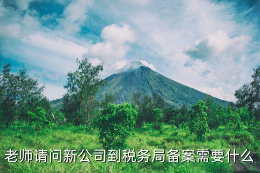 稅務(wù)報備需要什么材料，稅務(wù)備案需要哪些資料