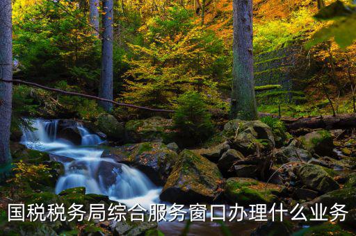 國(guó)稅大廳辦理什么業(yè)務(wù)，辦稅大廳都做些什么事