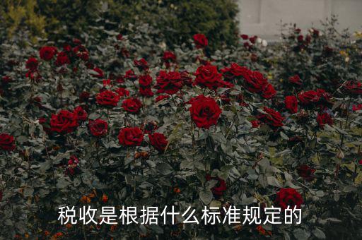 稅收是根據(jù)什么標準規(guī)定的