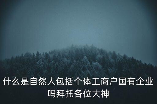 什么是稅務(wù)中的自然人，會(huì)計(jì)中自然人所指的是那種人