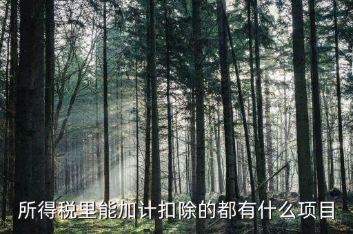 什么企業(yè)加計扣除，人員工資加計扣除政策是什么意思
