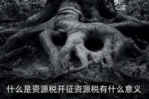 為什么開證資源稅，什么是資源稅開征資源稅有什么意義