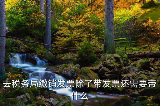 發(fā)票繳銷需要什么，未使用的發(fā)票如何繳銷需要哪些資料