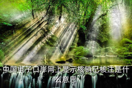 為什么核銷報(bào)驗(yàn)，中國電子口岸網(wǎng)上顯示核銷已核注是什么意思