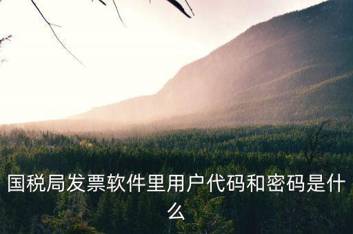 個(gè)稅用戶代碼是什么，國(guó)稅局發(fā)票軟件里用戶代碼和密碼是什么