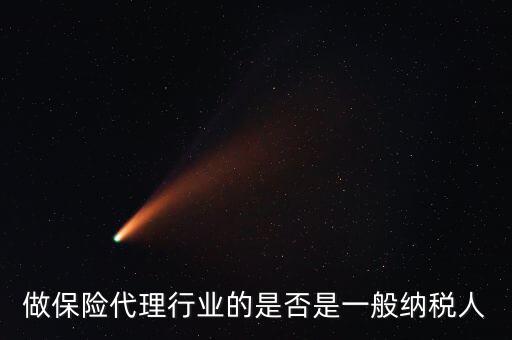 保險(xiǎn)公司屬于什么納稅人，財(cái)險(xiǎn)公司屬于甚么納稅人