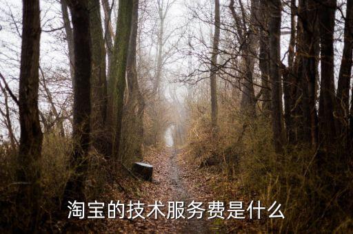 技術(shù)咨詢服務(wù)費指什么，醫(yī)藥行業(yè)技術(shù)服務(wù)費包含什么內(nèi)容