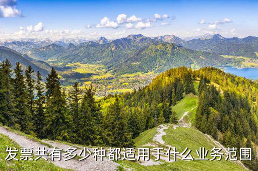什么業(yè)務(wù)應(yīng)該專(zhuān)業(yè)發(fā)票，單位收費(fèi)開(kāi)票1定要專(zhuān)業(yè)的