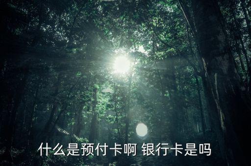 支付機(jī)構(gòu)預(yù)付卡是什么意思，銀聯(lián)預(yù)付卡是什么意思