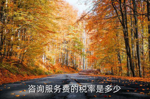 咨詢服務(wù)交什么稅，公司收到一筆咨詢費(fèi)應(yīng)該如何納稅稅率是多少急謝謝