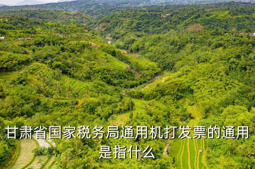 山西省稅務(wù)局六最是指什么，甘肅省國家稅務(wù)局通用機打發(fā)票的通用是指什么