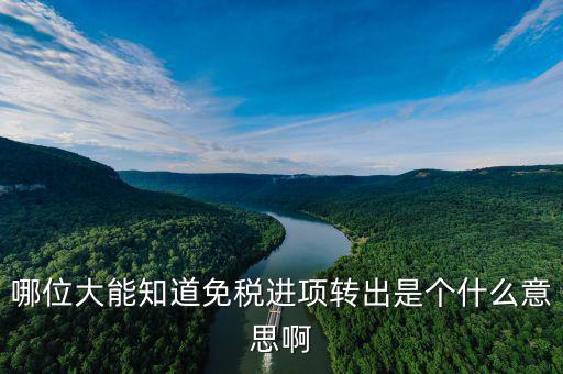 進(jìn)項轉(zhuǎn)出是什么意思，哪位大能知道免稅進(jìn)項轉(zhuǎn)出是個什么意思啊
