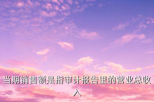 當(dāng)期銷(xiāo)售額是指審計(jì)報(bào)告里的營(yíng)業(yè)總收入
