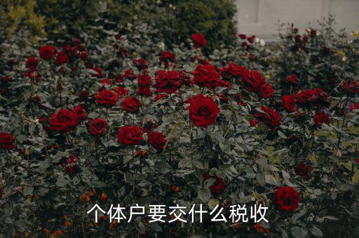 新開(kāi)個(gè)體戶(hù)要交什么稅，我想開(kāi)個(gè)小店當(dāng)個(gè)體戶(hù)請(qǐng)問(wèn)要交什么稅