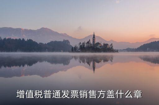 發(fā)票稅務(wù)章什么樣的，增值稅普通發(fā)票銷售方蓋什么章