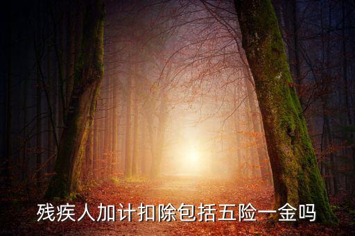 殘疾人加計(jì)扣除是什么意思，福利企業(yè)殘疾職工工資百分百加計(jì)扣除是怎么回事