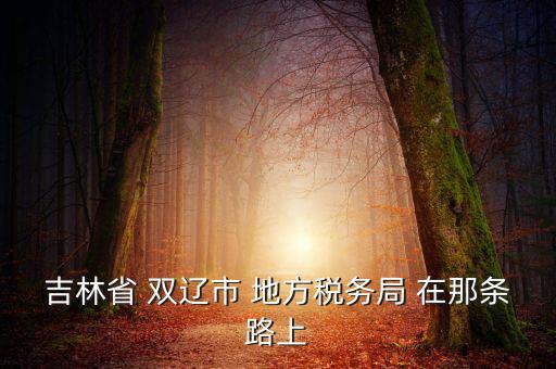 吉林市地稅局在什么位置，吉林市地方稅務(wù)局第二直屬稅務(wù)局在哪個(gè)區(qū)