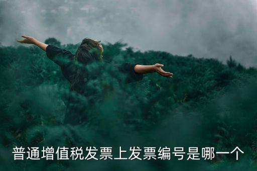 增值稅編號是什么，普通增值稅發(fā)票上發(fā)票編號是哪一個