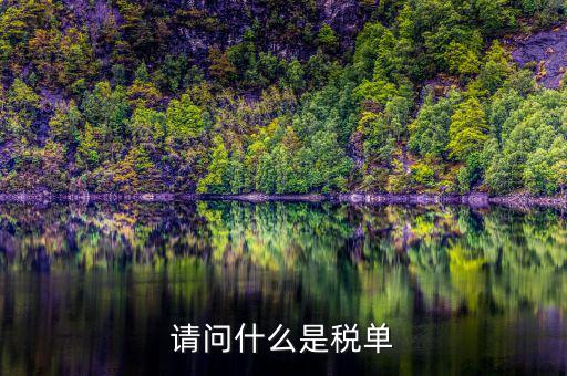 納稅申報單是什么，網(wǎng)上申報納稅都是什么報表 如何操作 簡單么