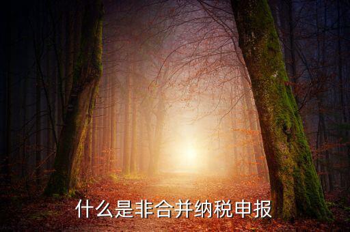什么是非匯總納稅企業(yè)，什么是跨區(qū)經(jīng)營(yíng)匯總納稅企業(yè)