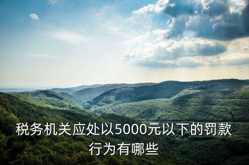 稅務局行為罰款是什么，稅務機關應處以5000元以下的罰款行為有哪些