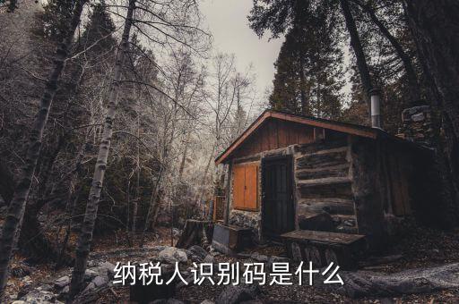 稅務(wù)識別碼有什么用，納稅人識別碼是什么