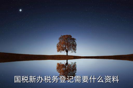 辦理國稅都需要帶什么，國稅登記需要帶什么資料