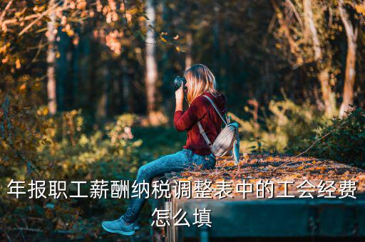 工會經(jīng)費減除項填什么，網(wǎng)上報稅時又多了一項工會經(jīng)費怎樣填寫計算