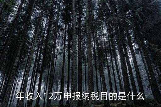 為什么12萬要報(bào)稅，年收入12萬個(gè)稅申報(bào)為什么要申報(bào)
