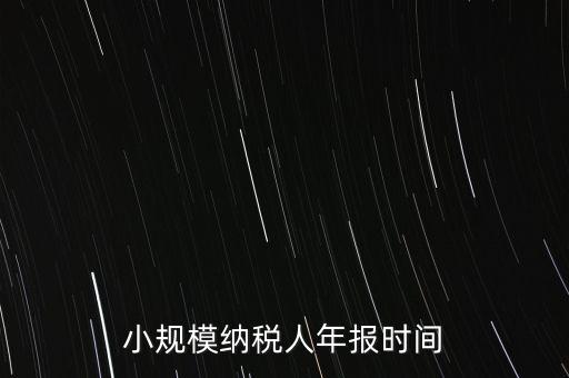 納稅申報年報什么時候，小規(guī)模納稅人年報時間