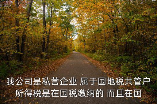 國(guó)地共管需要叫什么稅，國(guó)稅地稅共管公司都需要每個(gè)月報(bào)稅嗎意思就是說(shuō)我每個(gè)月地稅