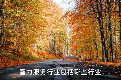 涉稅專(zhuān)業(yè)服務(wù)機(jī)構(gòu)包括什么，智力服務(wù)行業(yè)包括哪些行業(yè)