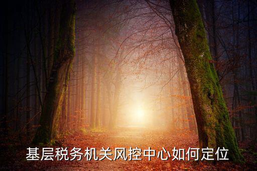基層稅務(wù)機關(guān)風控中心如何定位