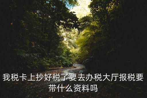 報(bào)稅廳抄報(bào)需要帶什么資料，抄稅需要帶些什么資料
