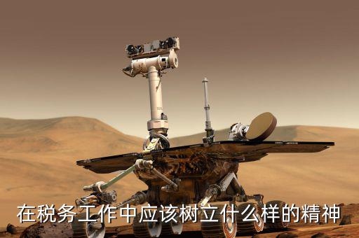 什么是地稅精神，在稅務(wù)工作中應(yīng)該樹立什么樣的精神