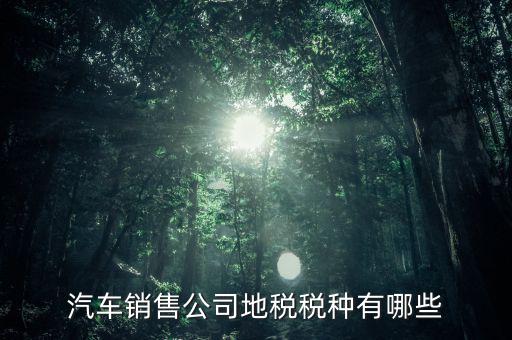 銷(xiāo)售汽車(chē)?yán)U納什么稅，一般納稅人公司銷(xiāo)售使用過(guò)的汽車(chē)要交哪些稅