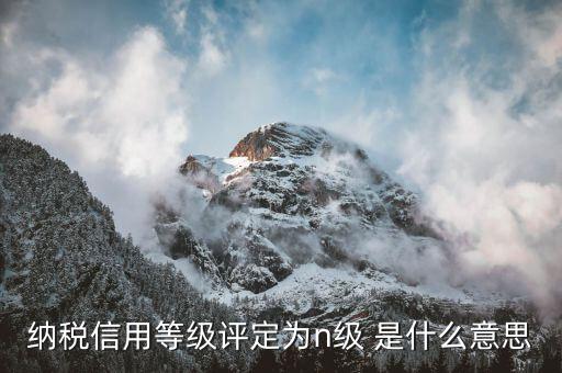 納稅評級是什么意思，納稅信用等級評定為n級 是什么意思