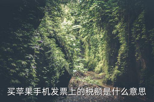 發(fā)票上的稅額是什么意思，買蘋果手機發(fā)票上的稅額是什么意思
