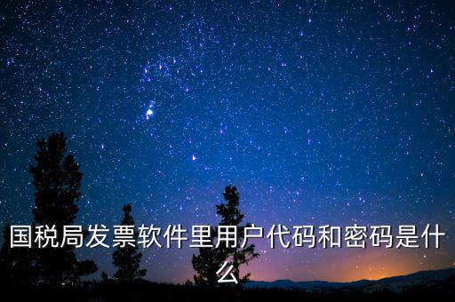 登錄稅務(wù)開票密碼是什么，國稅第一次網(wǎng)上申報(bào)的登陸密碼是什么