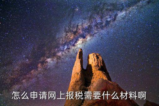 網(wǎng)上國稅報稅需要什么資料，怎么申請網(wǎng)上報稅需要什么材料啊