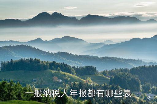 國(guó)稅年報(bào)是什么表，年報(bào)是指哪些報(bào)表是112月的嗎