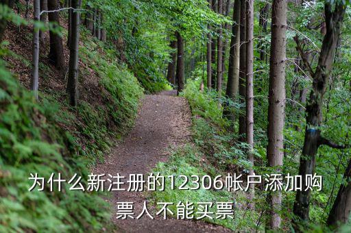 為什么新注冊(cè)的12306帳戶添加購票人不能買票