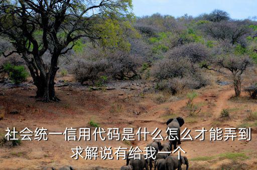 單位統(tǒng)一社會信息用代碼是什么，統(tǒng)一社會信用代碼9至17位