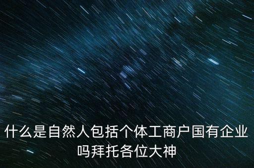 什么是自然人包括個(gè)體工商戶國有企業(yè)嗎拜托各位大神