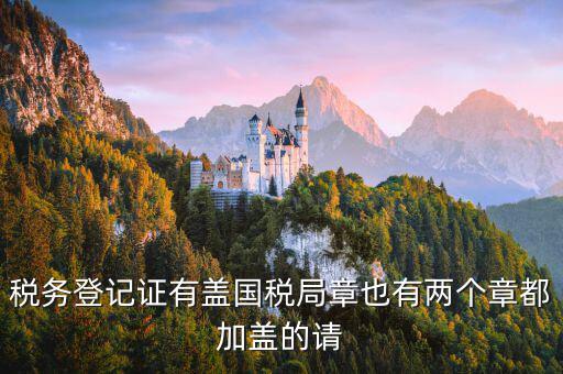 財(cái)稅證書什么樣，娛樂(lè)場(chǎng)所稅務(wù)登記證是什么樣子