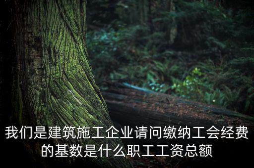 我們是建筑施工企業(yè)請(qǐng)問(wèn)繳納工會(huì)經(jīng)費(fèi)的基數(shù)是什么職工工資總額