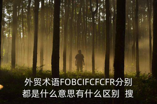 什么是被指定國別報(bào)告，什么是SGS