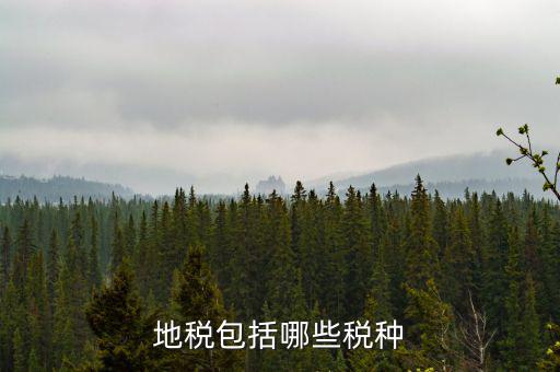 地稅包括什么，地稅包括哪些稅種