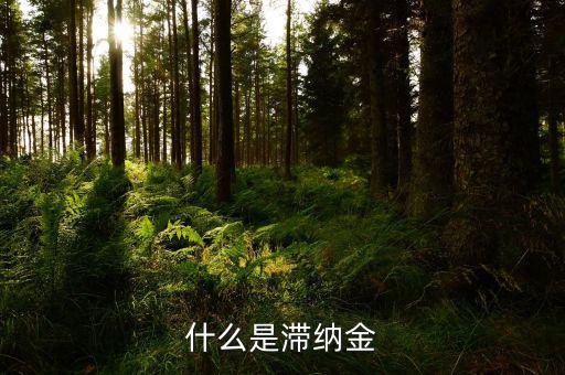 稅務(wù)局的滯納金是什么，個人所得稅滯納金是什么阿我交稅得單子上有